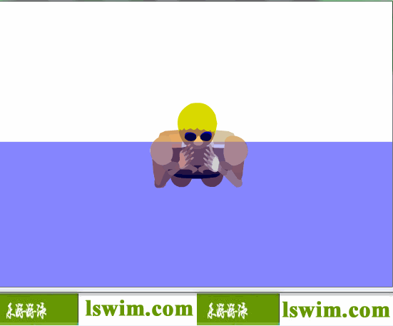 史劳德诺夫3D蛙泳动作正视角动态解析图，蛙泳正视图，蛙泳前视图