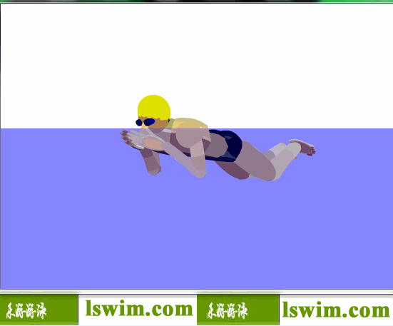 史劳德诺夫3D蛙泳动作左前视角动态解析图，蛙泳左视图，蛙泳左前视图。蛙泳侧视图