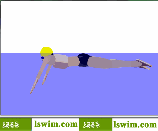 史劳德诺夫3D蛙泳动作左视角动态解析图，蛙泳左视图，蛙泳侧视图