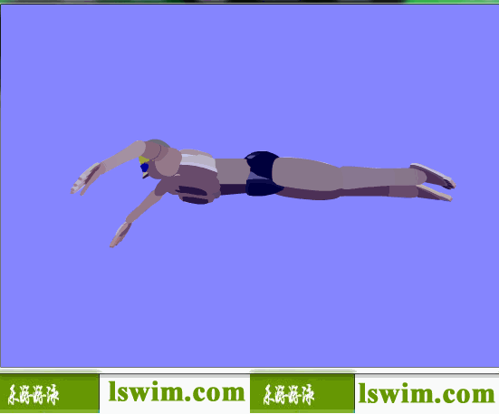 史劳德诺夫3D蛙泳动作左仰视角动态解析图，蛙泳左仰视图
