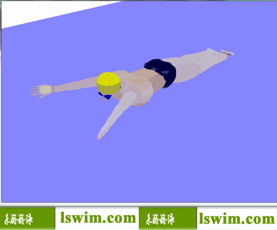 史劳德诺夫3D蛙泳动作前俯视角动态解析图，蛙泳前俯视图