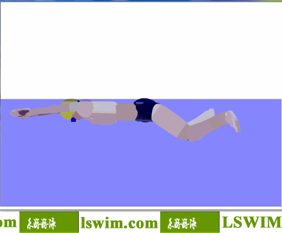 北島康介3D蛙泳動作左視角動態解析圖，蛙泳左視圖，蛙泳側視圖
