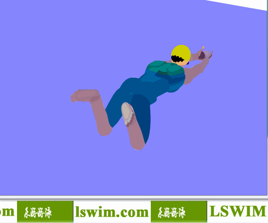 3D女子蛙泳动作右后俯视角动态解析图，女子蛙泳俯视图