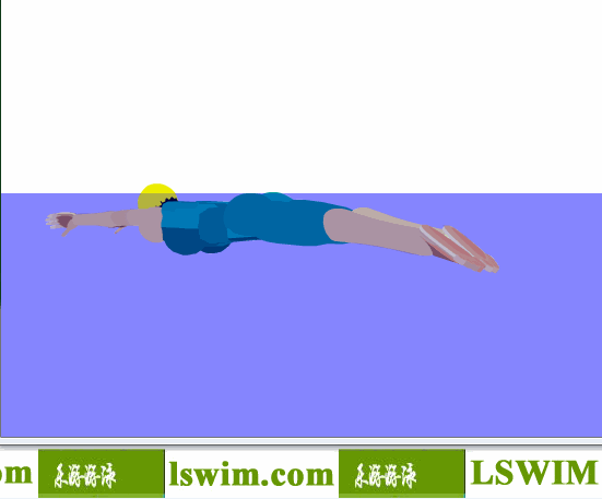 3D女子蛙泳动作左后视角动态解析图，女子蛙泳左视图，女子蛙泳侧视图