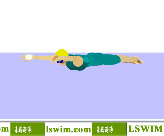 3D女子蛙泳动作左前视角动态解析图，女子蛙泳左视图，女子蛙泳侧视图