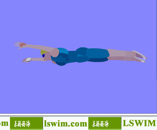 3D女子蛙泳动作左仰视角动态解析图，女子蛙泳仰视图
