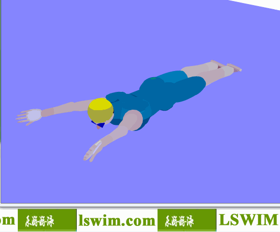 3D女子蛙泳动作左前视角动态解析图，女子蛙泳左视图
