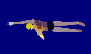 自由泳動作模擬動畫，自由泳俯視圖