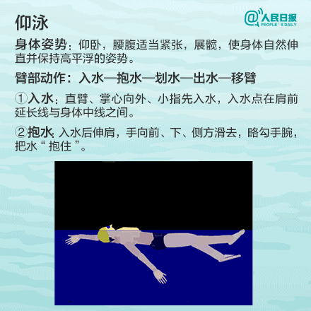 仰泳动作图加文字详细教程yangyong1.gif