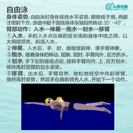 自由泳动作图加文字详细教程ziyouyong1.gif