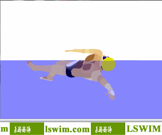 3D仰泳动作左前视角动态解析图，仰泳侧视图