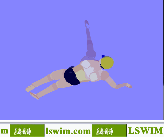 3D仰泳動作左前仰視角動態解析圖，仰泳側視圖，仰泳仰視圖
