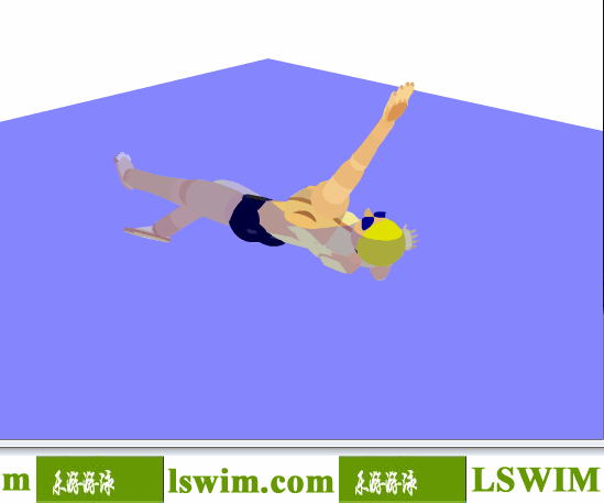3D仰泳動作右前俯視角動態解析圖，仰泳俯視圖，仰泳側視圖