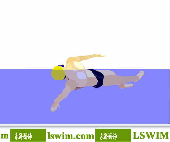 3D仰泳動作右前視角動態解析圖，仰泳側視圖
