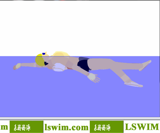 3D仰泳动作右视角动态解析图，仰泳侧视图