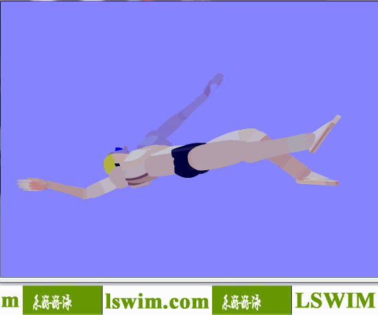 3D仰泳動作右後視角動態解析圖，仰泳側視圖