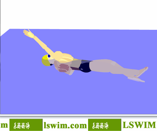 3D仰泳動作右視角動態解析圖，仰泳側視圖