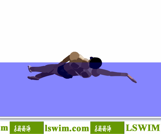 佩爾索爾3D仰泳動作左前側視角動態解析圖，仰泳側視圖