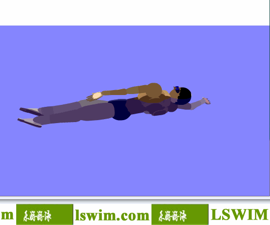 佩爾索爾3D仰泳動作左側視角動態解析圖，仰泳側視圖