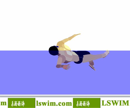 佩尔索尔3D仰泳动作前侧视角动态解析图，仰泳前侧视图