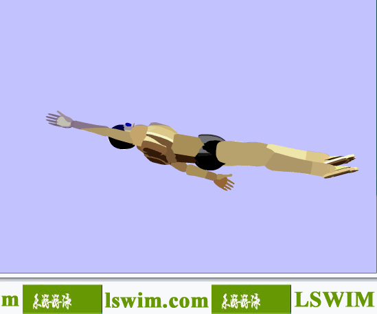 佩尔索尔3D仰泳动作右侧视角动态解析图，仰泳侧视图