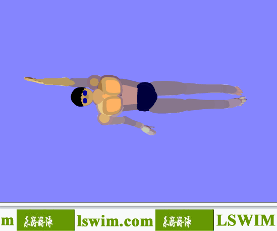 佩爾索爾3D仰泳動作側俯視角動態解析圖，仰泳俯視圖
