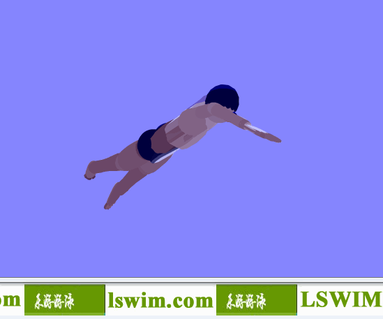 霍根班德3D自由泳动作右前俯视角动态解析图，自由泳俯视图