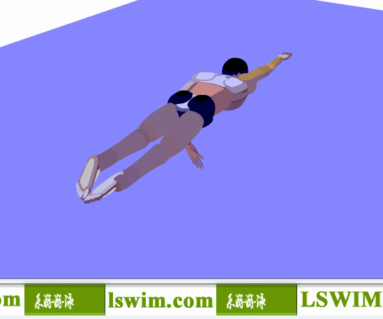 霍根班德3D自由泳动作右后俯视角动态解析图，自由泳俯视图