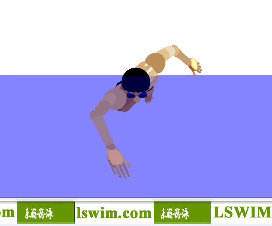 霍根班德3D自由泳动作正前视角动态解析图，自由泳主视图，自由泳正视图，自由泳前视图
