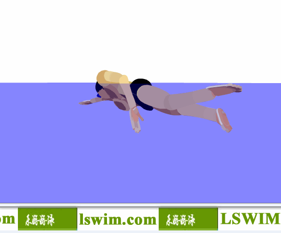 霍根班德3D自由泳动作左后侧视角动态解析图，自由泳侧视图