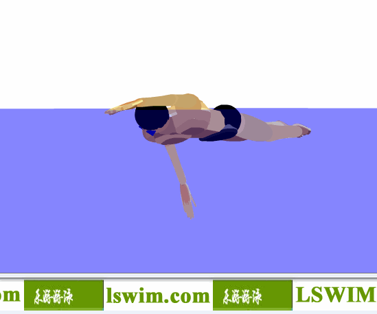 霍根班德3D自由泳动作左前侧视角动态解析图，自由泳侧视图