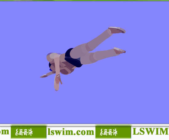 霍根班德3D自由泳动作左后仰视角动态解析图，自由泳仰视图