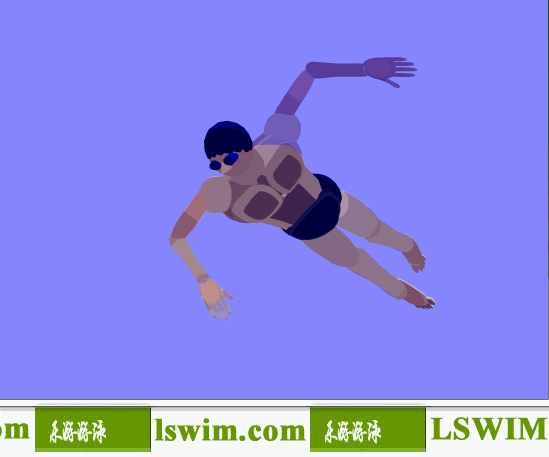 霍根班德3D自由泳动作左前仰视角动态解析图，自由泳仰视图