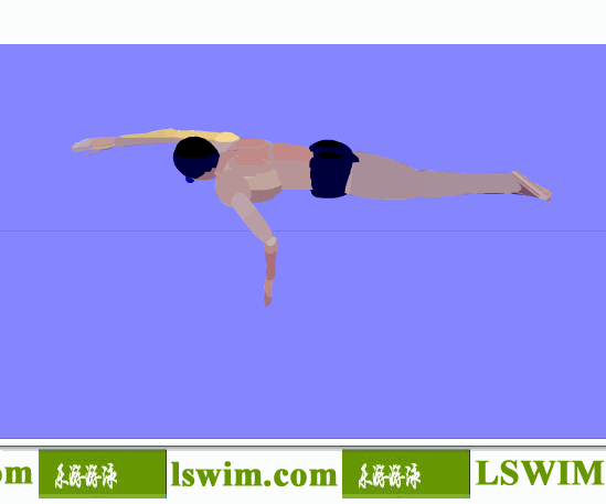 霍根班德3D自由泳动作左侧视角动态解析图，自由泳侧视图