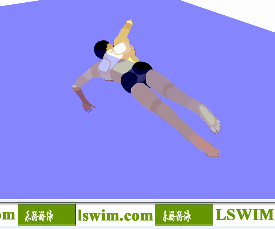 霍根班德3D自由泳动作左后俯视角动态解析图，自由泳俯视图