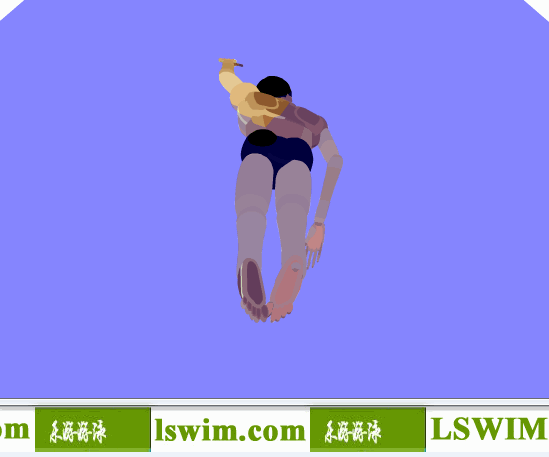 霍根班德3D自由泳动作后俯视角动态解析图，自由泳俯视图
