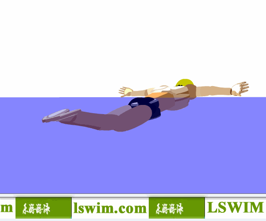 克罗克3D蝶泳动作右后侧视角动态解析图，蝶泳侧视图