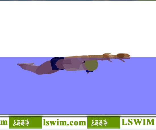 克罗克3D蝶泳动作右前侧视角动态解析图，蝶泳侧视图