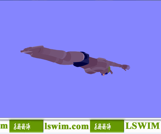 克罗克3D蝶泳动作右后仰视角动态解析图，蝶泳仰视图