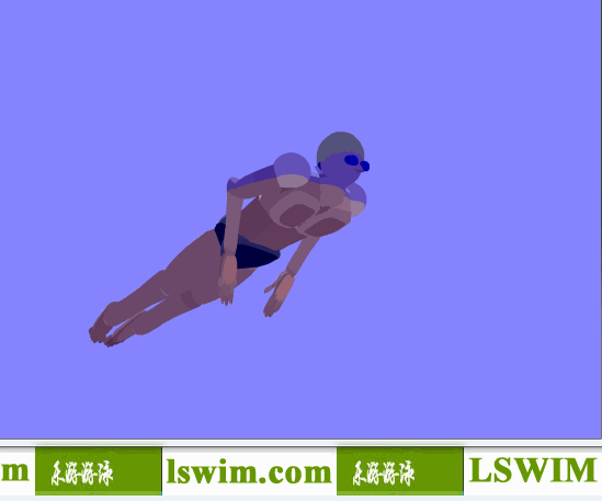 克罗克3D蝶泳动作右前仰视角动态解析图，蝶泳仰视图