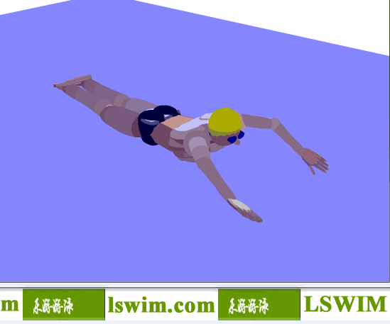 克罗克3D蝶泳动作右前俯视角动态解析图，蝶泳俯视图