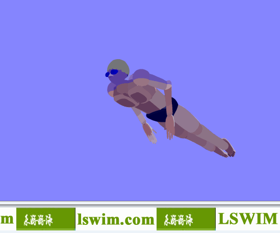 克罗克3D蝶泳动作左前仰视角动态解析图，蝶泳仰视图