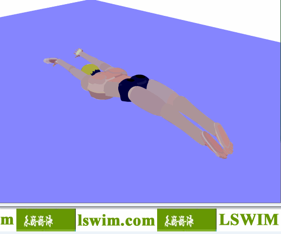 克罗克3D蝶泳动作左后俯视角动态解析图，蝶泳俯视图