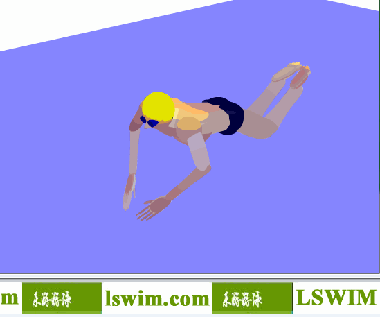 克羅克3D蝶泳動作左前俯視角動態解析圖，蝶泳俯視圖