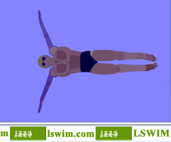 克罗克3D蝶泳动作左仰视角动态解析图，蝶泳仰视图