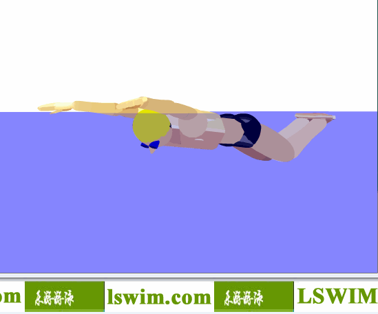菲尔普斯3D蝶泳动作左前侧视角动态解析图，蝶泳侧视图
